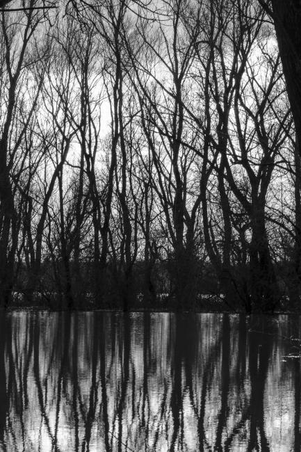 Crno bele refleksije.